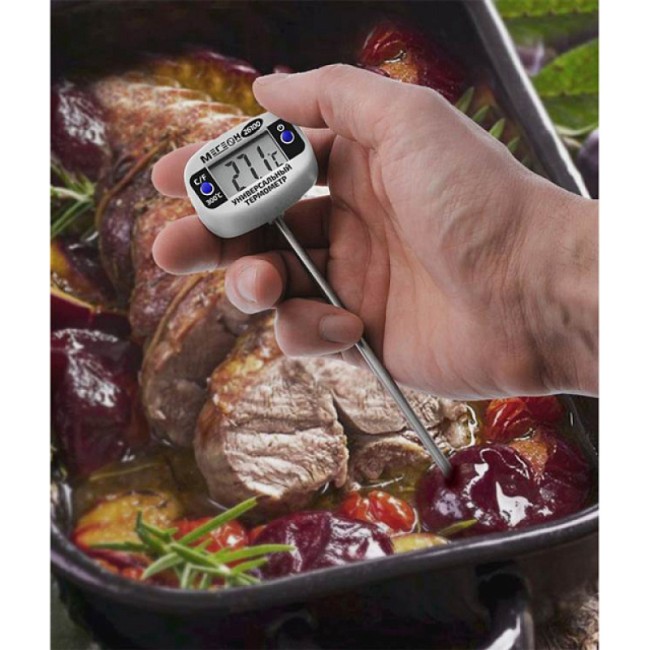 Термометр МЕГЕОН 26100