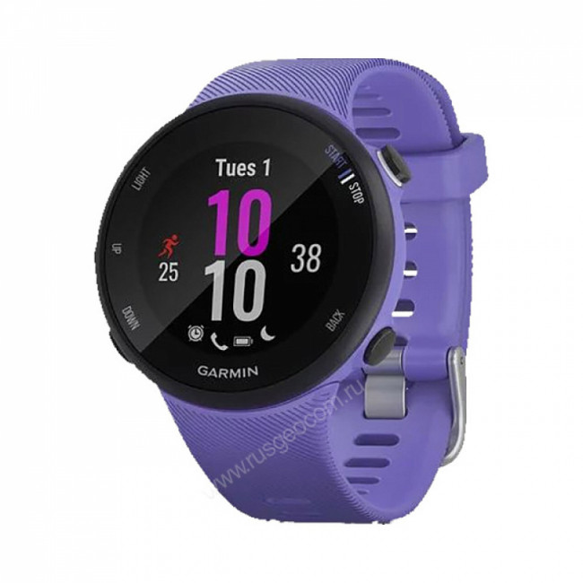 Часы Garmin Forerunner 45S ирис Часы Garmin Forerunner 45S ирис